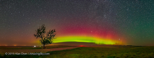 L'univers électrique  Grasslands_strip