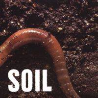 Soil (Alternatif/Neo - Etats-Unis) Soil