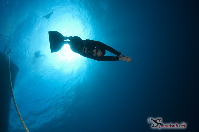 APNEA o BUCEO LIBRE DSC_4460