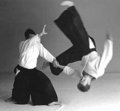 Borilačke veštine - Video, Foto & Vesti Aikido2