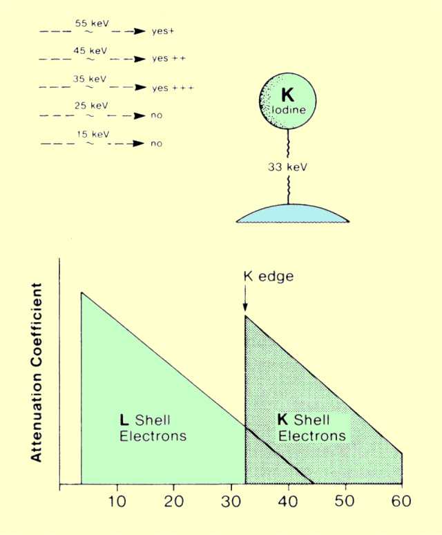 Gamma interaction with matter (الجزء الثانى)  10INTERACT10