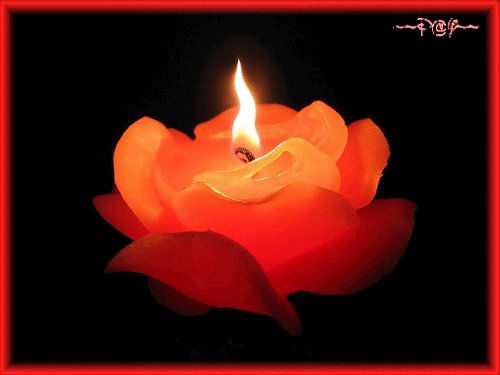 اجمل صور شموع متحركة رومانسية , شمع متحرك حمراء بجودة عالية  Candles Animations 2015_1412110575_322