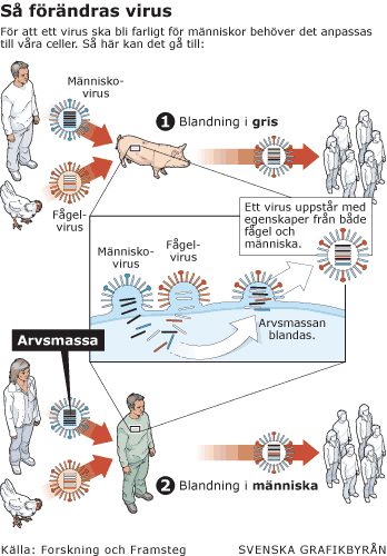 Apropå svinflunsan... 1741