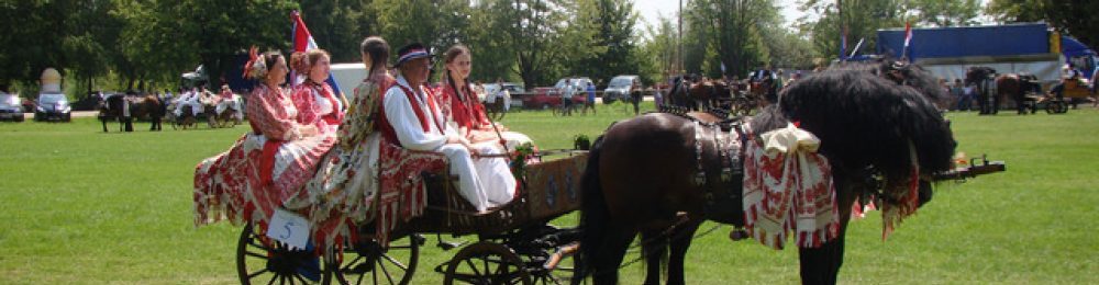 SRBI PUSTOŠILI HRVATSKOM, KRALI HRVATSKE LIPICANERE, PUŠTALI IH DA GLADUJU, ODBIJALI POVRAT DANAS GLUME PREDVODNIKE U ZAŠTITI ŽIVOTINJA , NE NA KULTURAN NAČIN NEGO U FANTOMKAMA PO HRVATSKOJ??  - Page 2 Cropped-cropped-najljepsa-zaprega