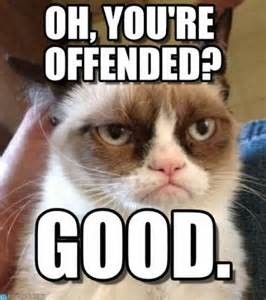 Rant Calling Out Islam for What It Is Offended-cat-266x300