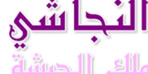 قصص وحكايات متنوعة 2018  %D8%A7%D9%84%D9%86%D8%AC%D8%A7%D8%B4%D9%8A-300x150