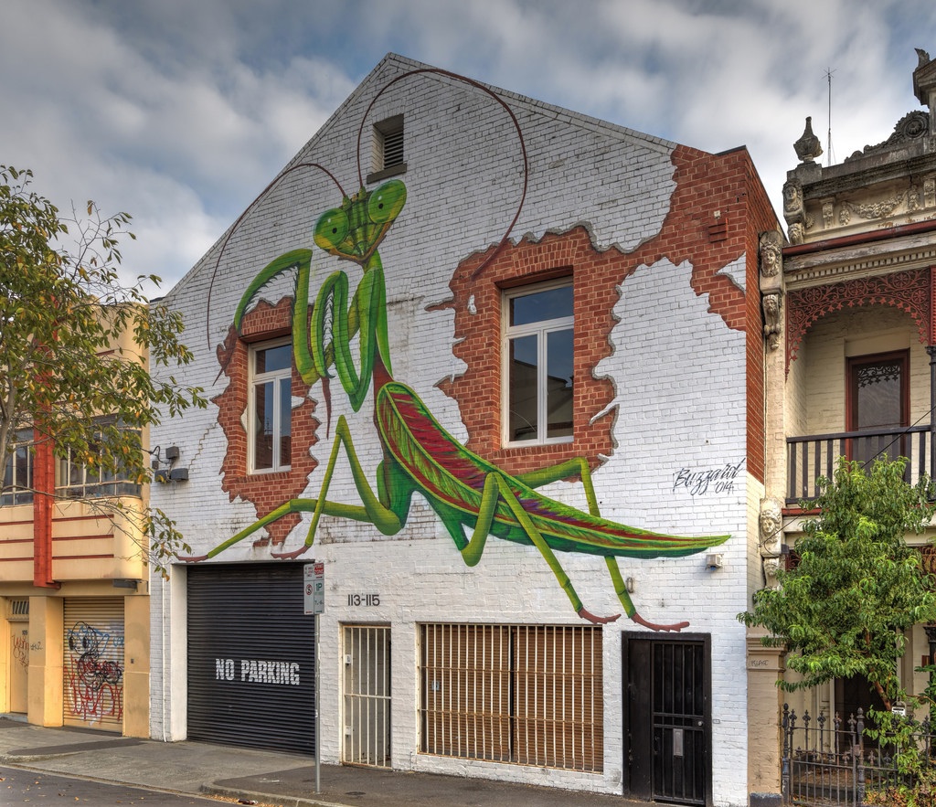 Grafiti i murali - Page 24 Street-Art-by-Buzzard-in-Fitzroy-Melbourne-Victoria-Australia-Parying-Mantis