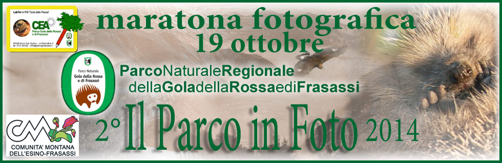 2° CONCORSO  "IL PARCO IN FOTO " MARATONA FOTOGRAFICA Parco%20maratona%20data