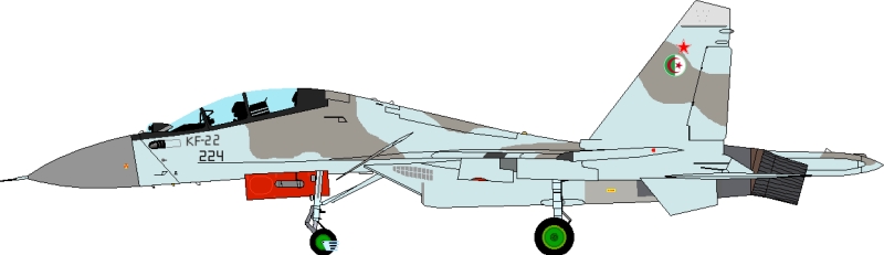 الجيش الوطني الشعبي الجزائري [ رسم بياني / Profils ]  - صفحة 2 Aaf-su30mka_kf22_2007-11