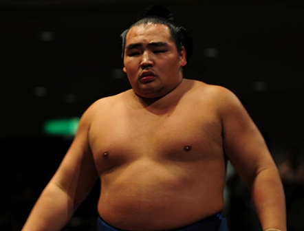 Sumo: Kakuryu is poised to take the March Basho (could clinch the title tonight) Kakuryu