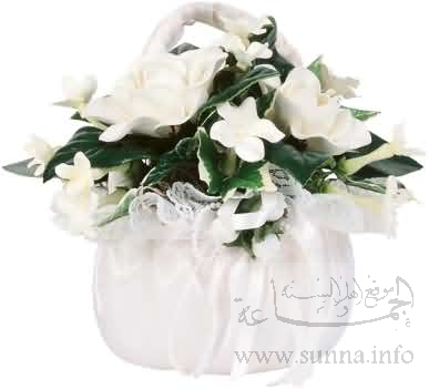 باقات ورد.....لاحلى عروسة....لولولىىىى Flower3