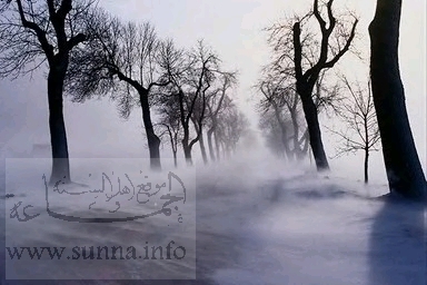 ثلوج Www_sunna-info-41