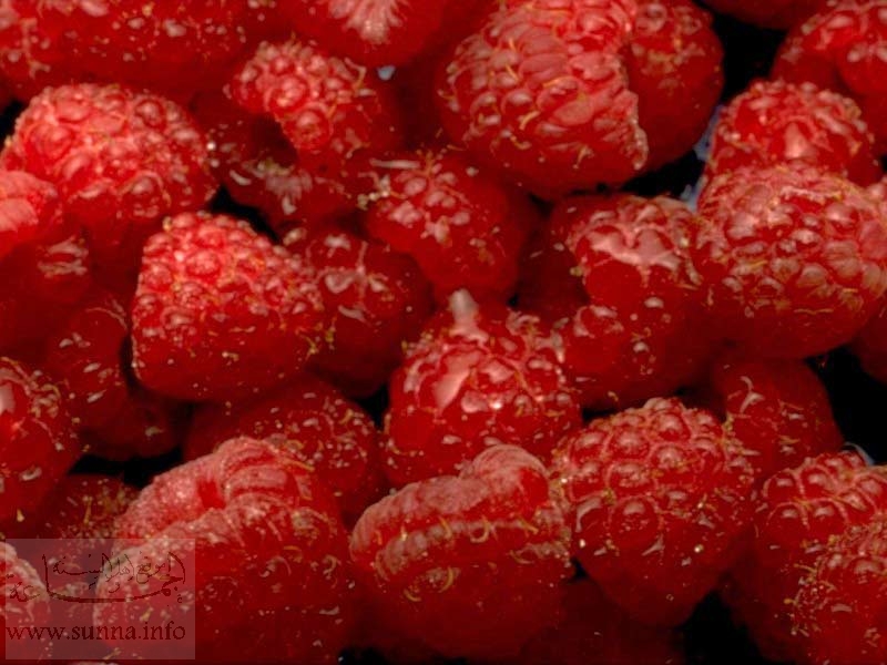         ... Raspberries