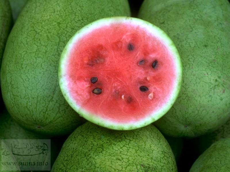 فيه بطيخ وللا أمشى Water-melon