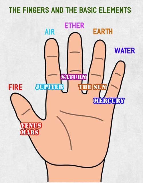 Finger phalanges and calendar months???  Fingers-elements