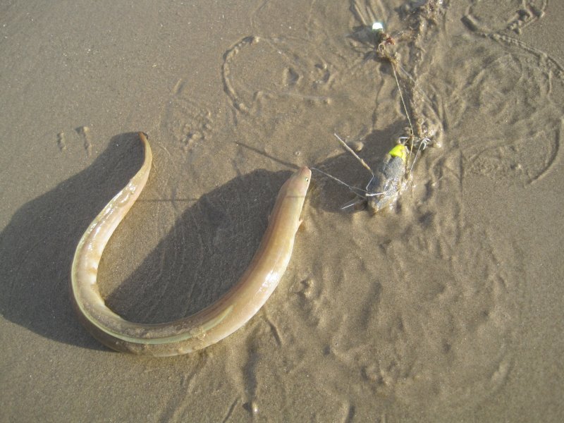 Things you don't see often on Rhyl Beach - part 1 Splash_point_05_09_2009-004