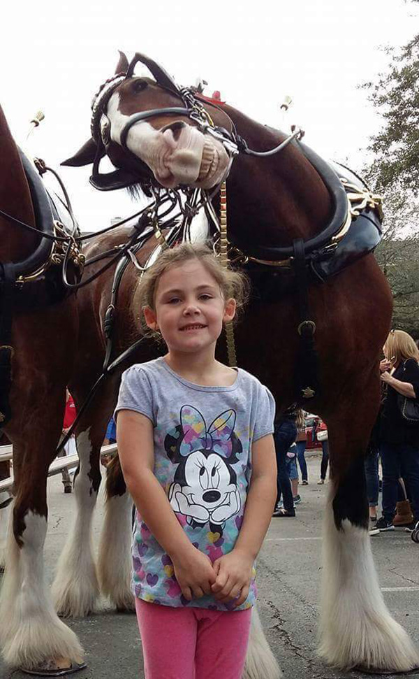 She Wanted Her Picture Taken With The Horses... And I Can't Stop Laughing! 44699-horse-funny-1