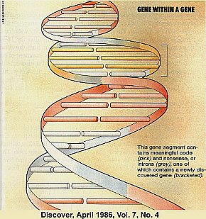 العلم والايمان Genes-3