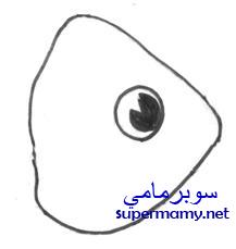 صور تعلم خطوات كيفية رسم سمكه للاطفال والكبار Supermamy-72f7c115eb