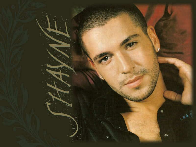   shayne ward         52156_Shayne_Ward_Wallpaper_1_1024