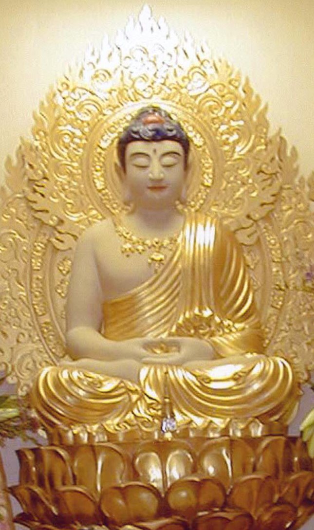 HÌNH PHẬT THÍCH CA MÂU NI Buddha8light