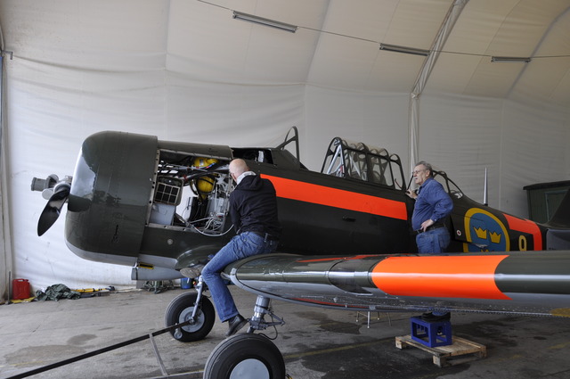 BLACK HORSE AT 6 TEXAN Sk2