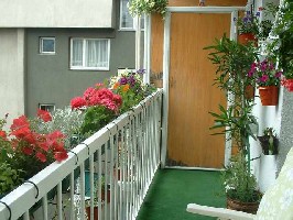 Ukrasno bilje za balkone, dvorista, terase T_terasa_6