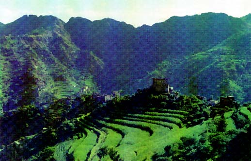 صور من اليمن  Yemen.image1