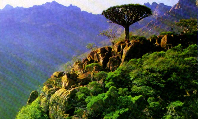صور الطبيعة في اليمن Yemen2