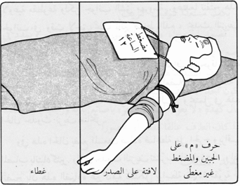 جهاز الدوران 38