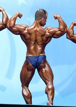 Refined Physique Transformation by Christian Thibaudeau Image019