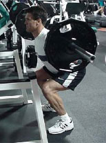 Leg Training Myths Exposed Quick Answers to Common Idiocy Image027