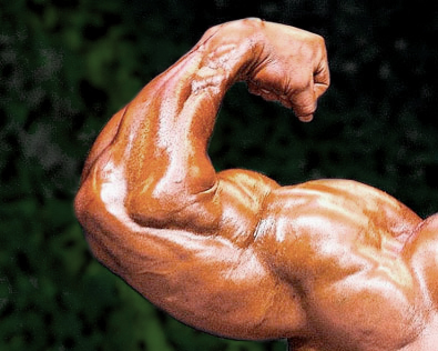 3 More Quick and Dirty Ways to Build Muscle Arm