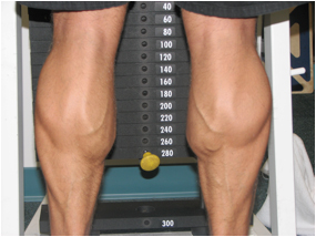 A Routine for Calves That Hate Growing Image002