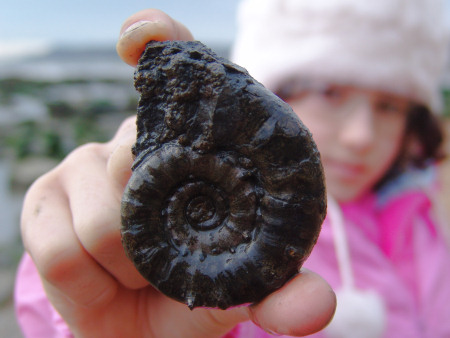 Dioses Ammonite1