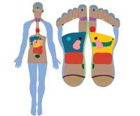 Reflexology for Natural Relief of common ailments Reflexology_points_final