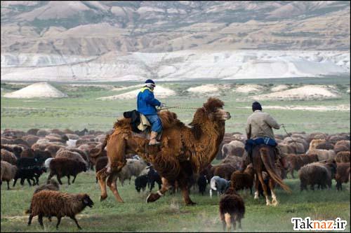 عکس هایی خنده دار روز 0.501838001299061417_taknaz_ir