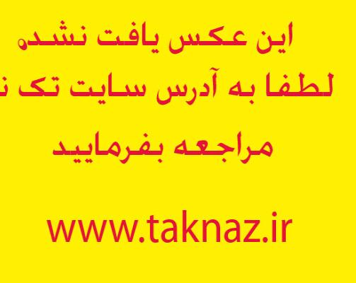 عکس های جدید مهناز افشار در کنسرت 0.777666001315990021_taknaz_ir