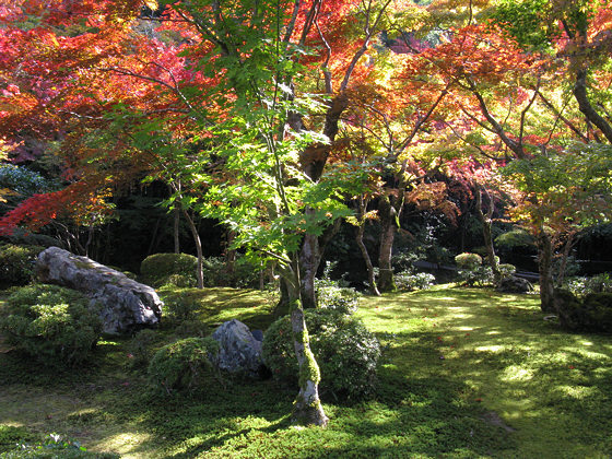 صور أكثر من راااائعة لـ حديقة " Moss Garden" باليابان Enkoji_moss_garden