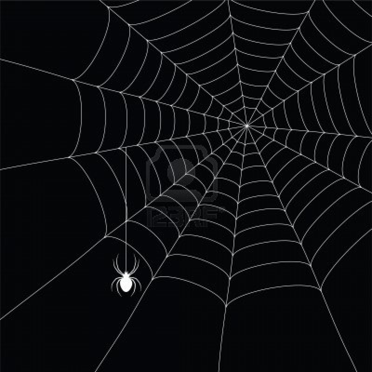 கடவுள் என்றால் என்ன? – 1 7985938-white-spider-and-spider-web-isolated-on-the-black-background
