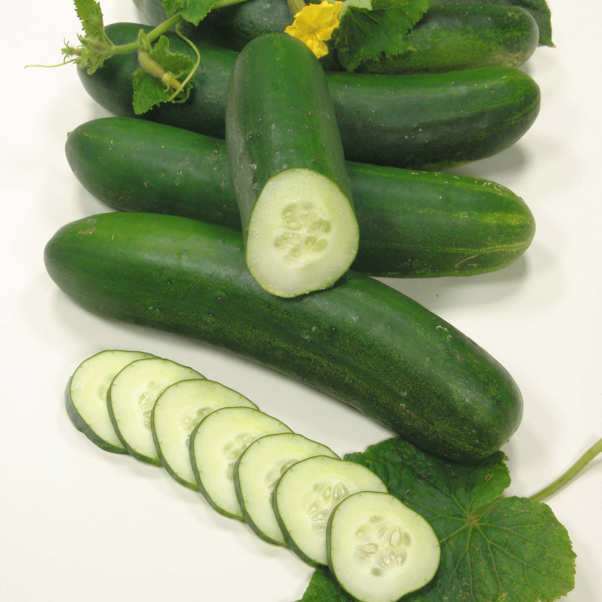 வெள்ளரி (Cucumber) – மிகவும் பயனுள்ள அதிசயித்தக்க தகவல்கள் Cucumber-%E2%80%93-Vellarikai