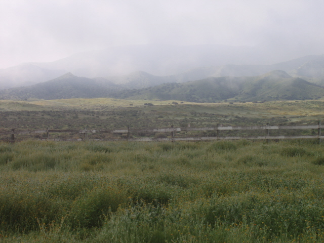 Las Grietas de la Oscuridad  (Libre) Carrizo_foggy_morning