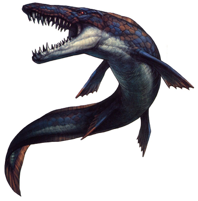 Mosasaurus hoffmannii Mosasaurus_hoffmannii