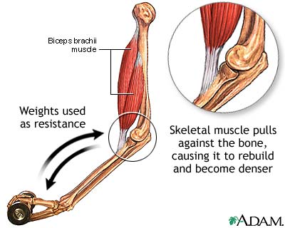 كيف يقي التريض من المرض How Exercise Protects Against Disease 19081