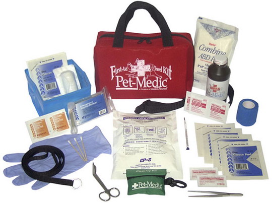 حقيبة السفر الطبية و كيفية إعدادها Deluxe_First_Aid_%26_Travel_Kit