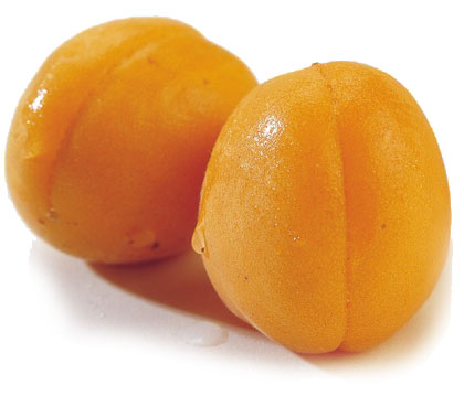 مشمش ، المشمش Apricot