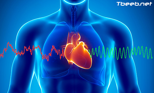 مراض القلب: الأنواع، عوامل الخطر، الوقاية والعلاج Heart