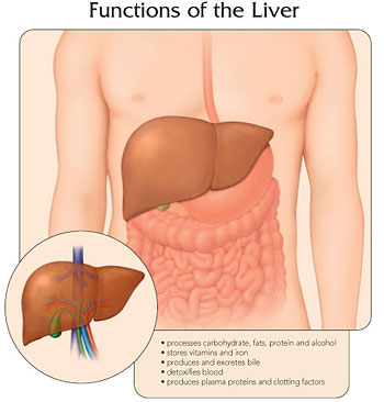 اضربات السائل الامنيوسى Hepatitis