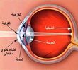 مكتبة صور طبيه 05e45fff77