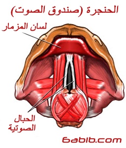 البوم &&الصور&& الطبية تخصص جسم الانسان 23481f2db9